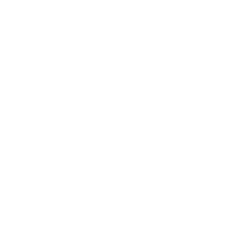 Social Media Management