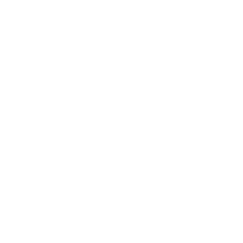 Software